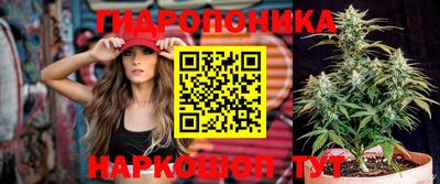 не бодяженный Новозыбков